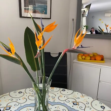 Portugal Maria Appt Lejlighed Albufeira