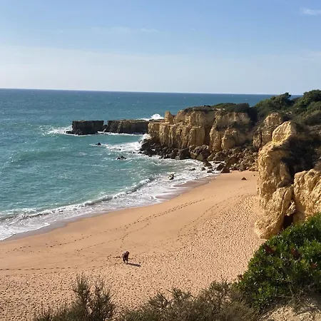 Portugal Maria Appt דירה *